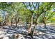 Wooded backyard with lush trees providing a serene and shaded outdoor space, with sunlight and shadow interplay at 4942 Hidden Oaks Ln, Sarasota, FL 34232