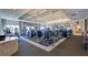 Well-equipped fitness center featuring modern cardio and strength training equipment for residents' use at 5203 Rushmere Ct, Palmetto, FL 34221