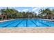 Community pool featuring lounge chairs, palm trees, and clear blue water at 5405 98Th E Ave, Parrish, FL 34219