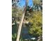 Scenic view of a pond surrounded by lush greenery and trees, creating a serene and natural ambiance at 6450 Wild Oak Bay Blvd # 240, Bradenton, FL 34210