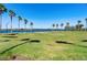 Community park with a lush green lawn, palm trees and walking path by the lake at 6913 Neopolitan Ct, Apollo Beach, FL 33572