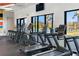 Well-equipped gym showcasing treadmills and elliptical machines overlooking scenic outdoor views at 6913 Neopolitan Ct, Apollo Beach, FL 33572