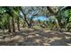 Expansive backyard with beautiful shady trees at 1533 Oak Way, Sarasota, FL 34232