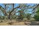 Large backyard with big shady trees providing a private outdoor sanctuary at 1533 Oak Way, Sarasota, FL 34232