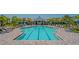 A luxurious pool with clear blue water is surrounded by elegant patio, lounge chairs, and lush landscaping at 2309 Blue Mahoe Ln, Sarasota, FL 34240