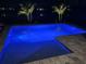 Night view of a sparkling pool with elegant lighting and landscaping at 3110 Tolmino Ct, Bradenton, FL 34211