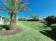 Well maintained backyard featuring a lush green lawn and serene landscaping at 321 Reclinata Cir, Venice, FL 34292