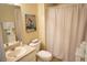 Cozy bathroom featuring a shower with a curtain, toilet, sink with a mirror and decorative art at 6709 Rock Bridge Ln, Ellenton, FL 34222