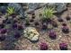 Attractive ground cover featuring rocks and flowers in a well maintained landscaped garden at 6804 Gulf Dr # 6804, Holmes Beach, FL 34217