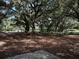 Well-maintained dog park with large trees providing shade for dogs to play at 7095 Tamworth Pkwy, Sarasota, FL 34241