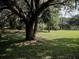 Grassy area inside the dog park with large shady trees at 7095 Tamworth Pkwy, Sarasota, FL 34241