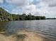 Beautiful lake view surrounded by green trees under a cloudy sky at 7095 Tamworth Pkwy, Sarasota, FL 34241