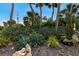 Lush garden showcasing vibrant flowers, mature palm trees, and tropical foliage, enhancing the property's landscape at 807 S Bay Blvd, Anna Maria, FL 34216