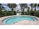 A tranquil, kidney-shaped plunge pool with surrounding tropical foliage and palm trees for a secluded atmosphere at 11522 Trivio Ter, Palmetto, FL 34221
