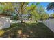 Large backyard with a white fence, large shade tree and lush lawn at 124 E 119Th Ave, Tampa, FL 33612