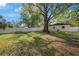Wide backyard with lush lawn, mature trees, and a vinyl fence, creating a serene outdoor space at 124 E 119Th Ave, Tampa, FL 33612