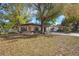 Quaint single-story home featuring a covered entrance, complemented by mature trees in a well-maintained yard at 124 E 119Th Ave, Tampa, FL 33612