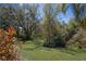 Lush backyard with green lawn, mature trees, and colorful foliage, offering a serene outdoor space at 13414 Goldfinch Dr, Lakewood Ranch, FL 34202