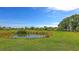 Scenic view of the pond surrounded by lush greenery, providing a tranquil backdrop at 13904 Gettis Lee Rd, Parrish, FL 34219