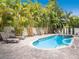 Inviting backyard pool and spa surrounded by lush tropical landscaping and lounge chairs at 2300 Avenue B, Bradenton Beach, FL 34217