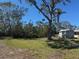 Exterior shot of a home's spacious backyard with ample greenery and a shed at 3808 118Th W St, Bradenton, FL 34210