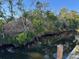 A scenic waterfront view reveals the lush vegetation of the area at 3808 118Th W St, Bradenton, FL 34210