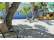 Charming backyard with pavers and pea gravel with Adirondack chairs on a deck and mature tropical trees at 433 N Osprey Ave, Sarasota, FL 34236