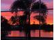 Beautiful sunset reflected in a serene pond, framed by the silhouette of palm trees at 5224 88Th E St, Bradenton, FL 34211