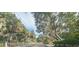 Picturesque street view lined with lush trees and tropical foliage at 820 Coconut Rd, Venice, FL 34293