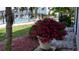 Beautiful pink flowers near the community pool, providing a relaxing outdoor living space at 1531 Pleasant Rd # H-3, Bradenton, FL 34207