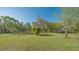 View of a large grassy backyard dotted with trees and surrounded by lush greenery at 2230 Myakka Rd, Sarasota, FL 34240