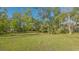 View of a large grassy backyard dotted with trees and surrounded by lush greenery at 2230 Myakka Rd, Sarasota, FL 34240