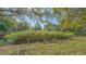 The backyard has lush greenery and tropical vegetation, providing a peaceful retreat at 2230 Myakka Rd, Sarasota, FL 34240
