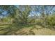 Overgrown landscape with mature trees, hinting at natural beauty and privacy on the property at 2230 Myakka Rd, Sarasota, FL 34240
