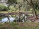 Pond with white birds, trees, and reflections at 2230 Myakka Rd, Sarasota, FL 34240