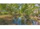 Scenic view of a winding stream surrounded by lush trees in a nature-filled setting at 2230 Myakka Rd, Sarasota, FL 34240