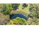 Aerial view of a serene pond surrounded by vibrant trees and greenery at 2230 Myakka Rd, Sarasota, FL 34240