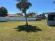Lawn in backyard featuring a palm tree and a white fence at 22337 Olean Blvd, Port Charlotte, FL 33952