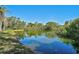 Scenic pond view featuring lush greenery, lily pads, and clear blue water reflecting the sky, offering a serene natural setting at 6017 Marella Dr, Sarasota, FL 34243