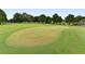 Lush green golf course with mature trees and a tranquil pond, offering a scenic recreational amenity at 1325 Bottlebrush Dr, Bradenton, FL 34208