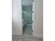 Bathroom view featuring a large walk-in glass shower and white vanity at 3204 W Grace St, Tampa, FL 33607