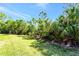 A grassy backyard with mature trees and landscaping provides shade and privacy at 324 Casalino Dr, Nokomis, FL 34275