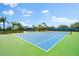 A park view features a blue tennis court with surrounding green space and some nearby shade at 4954 Newport News Cir, Lakewood Ranch, FL 34211