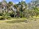 Backyard with many beautiful palm trees and green lawn at 617 Cervina S Dr, Venice, FL 34285