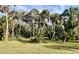 Backyard with many beautiful palm trees at 617 Cervina S Dr, Venice, FL 34285