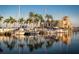 Beautiful waterfront scene with boats docked at the marina near a building at 3009 Live Oak Ln # 33, Palmetto, FL 34221
