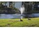Pond with fountain and geese at 6002 Oak Creek Ln # 1925, Bradenton, FL 34210