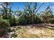 Lush backyard with mature trees and tropical foliage, creating a private and serene setting at 710 Fox St, Longboat Key, FL 34228