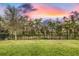 Spacious backyard with lush green grass enclosed by a sleek black fence and mature trees at 14616 20Th E St, Parrish, FL 34219
