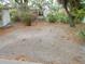 Spacious backyard with mature trees and flowering shrubs at 1778 23Rd St, Sarasota, FL 34234